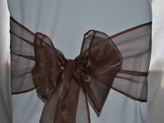 Organza Chair Sash